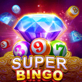 Super Bingo PGOT game