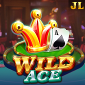 Wild Ace PGOT game